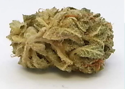 Feelin'MN - Feelin MN - Gummibears (3.5g)  Main Image