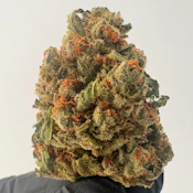 Gus Scout Cookies 3.5g