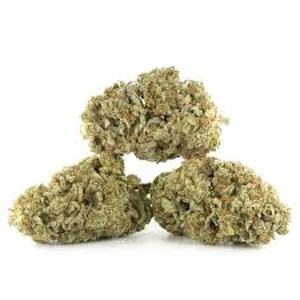 Highway Horticulture Productions - Buds- Gutter Girl