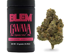 BLEM - Flower - Gwava - 10G