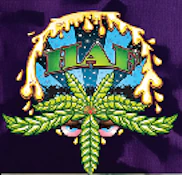 HASHANDFLOWERS - Concentrate - Swamp Dawg - Rosin - 1G