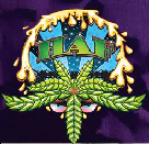HASHANDFLOWERS - HASHANDFLOWERS - Concentrate - Swamp Dawg - Rosin - 1G Main Image