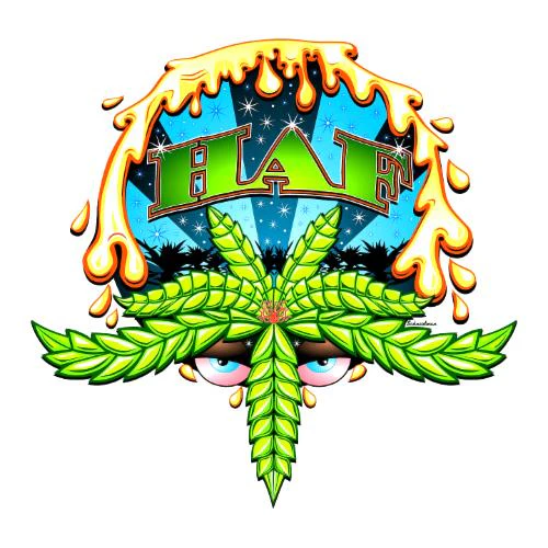 Hash and Flowers - Hash and Flowers - Sweet N Sour - Live Rosin - 1g Main Image