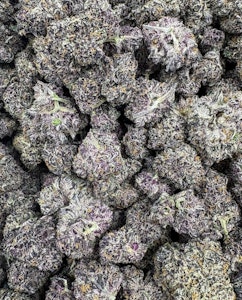 Green Earth Cultivators - Halle Berry