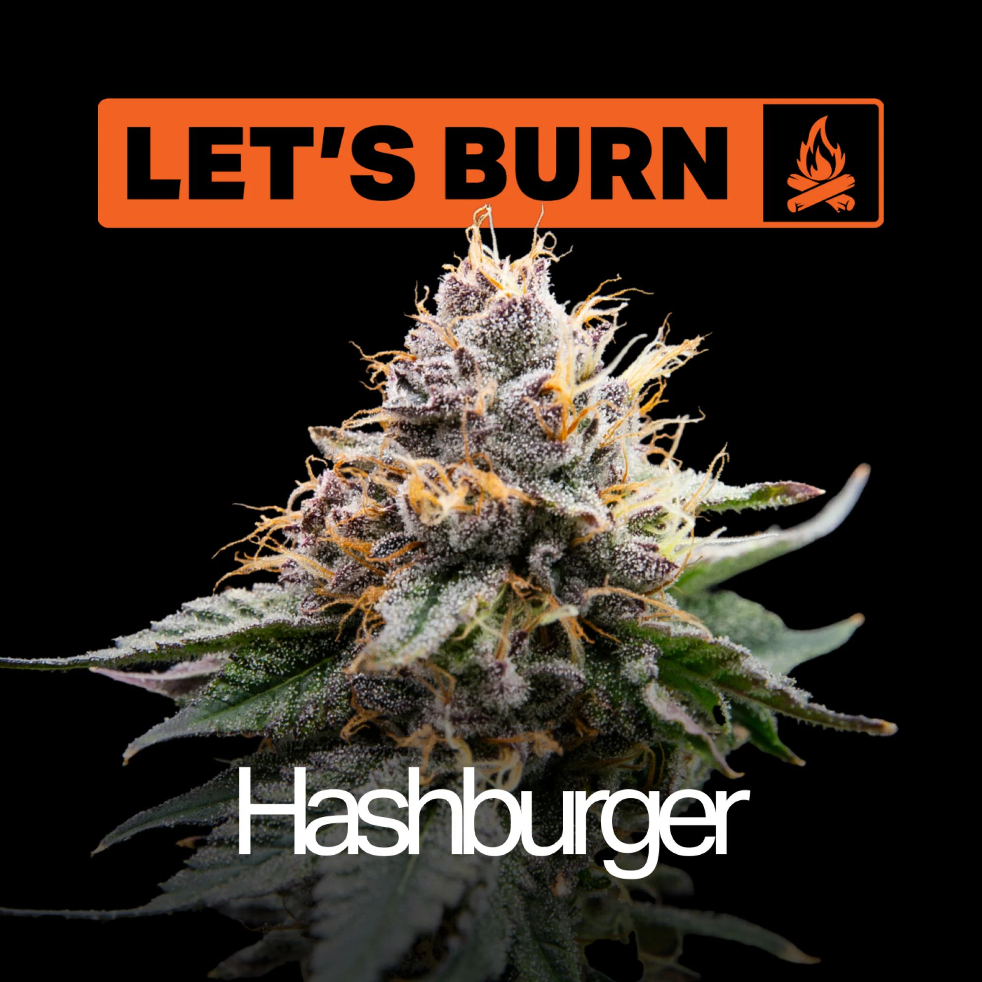 LET'S BURN - Hashburger 3.5g 0054 Main Image