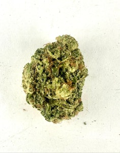 PROHIBITION 37 - P37 - Hater Tears