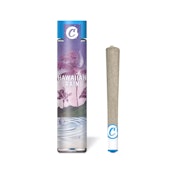 1g Hawaiian Rain Pre-Roll - Cookies 