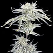 Green Lightning | Hawaiian Plushers | 7g | Smalls