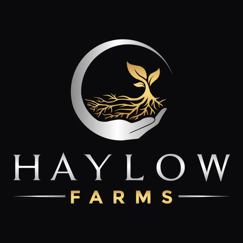 Haylow Farms - Haylow Farms - Lucid Vision - Deli Flower Main Image