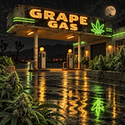 HDH - Grape Gas -1G - PREROLL