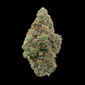 Headband (Pre-Packed 1/8th)