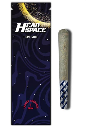 HEAD SPACE (NY) - Sherbanger -Hybrid- 23.67% THC | 1g (Pre Roll) | Head Space      -s5