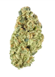 Strain Gang - Strain Gang | Headband | Hybrid Main Image