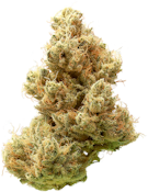 Heirbloom | Banana OG | 3.5g