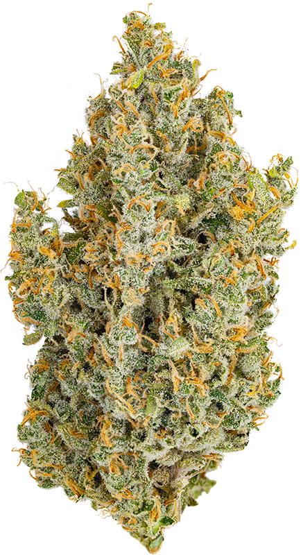 Heirbloom | Durban Poison | 3.5g