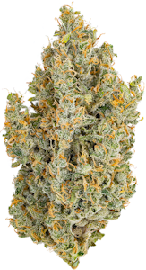 HEIRBLOOM - Heirbloom | Durban Poison | 3.5g