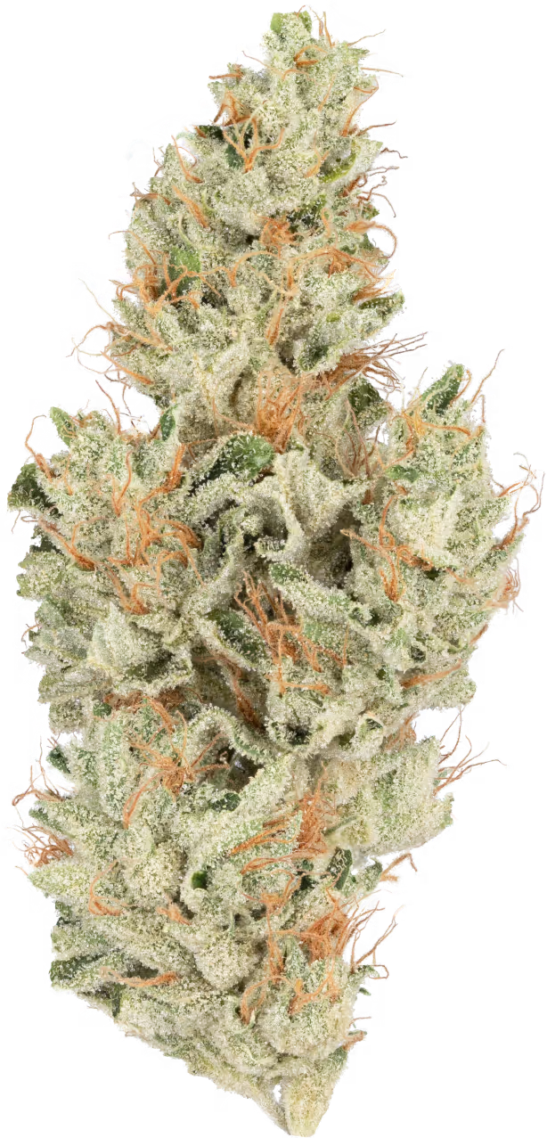 Heirbloom | Master Kush | 3.5g