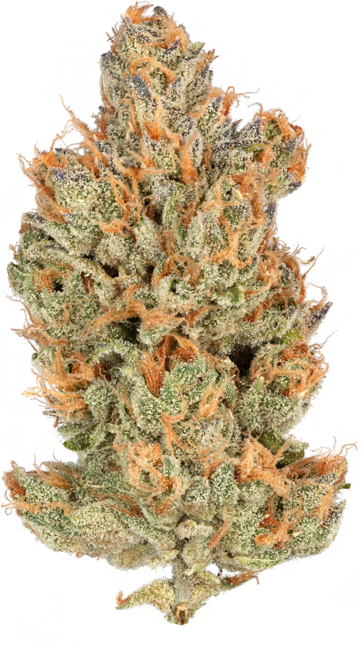 Heirbloom | Orange Crush | 3.5g