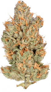 HEIRBLOOM - Heirbloom | Orange Crush | 3.5g