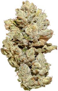 HEIRBLOOM - Heirbloom | Original Glue | 3.5g