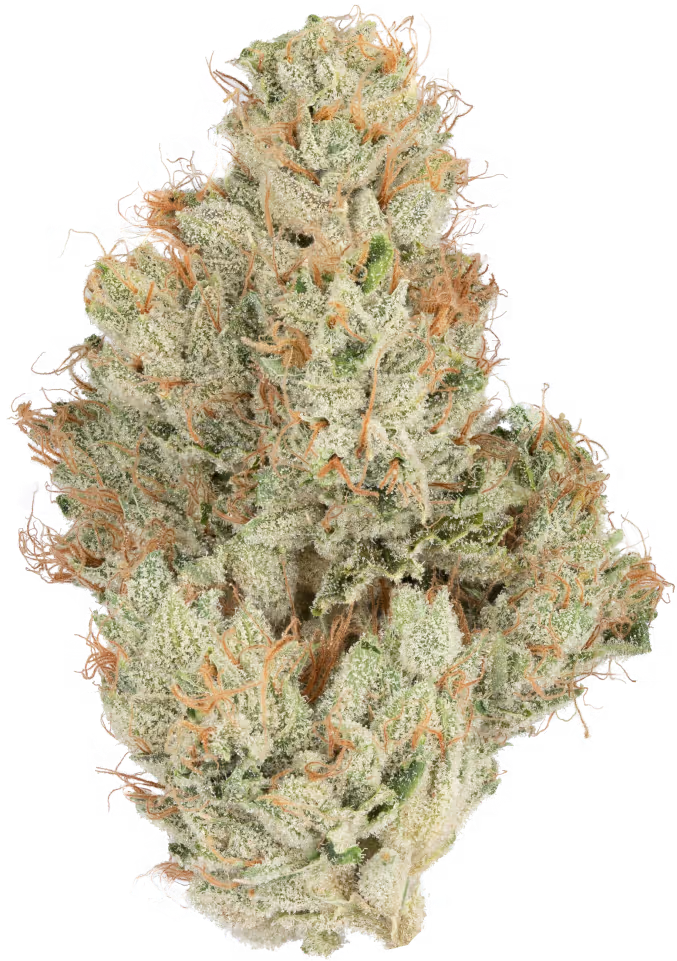 Heirbloom | SFV OG | 3.5g