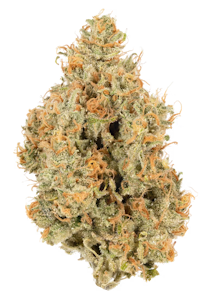 HEIRBLOOM - Heirbloom | Super Silver Haze | 3.5g