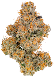 HEIRBLOOM - Heirbloom | Watermelon | 3.5g