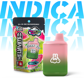 Hellavated - Wateryer Melon, Flavored Distillate Disposable, 1g