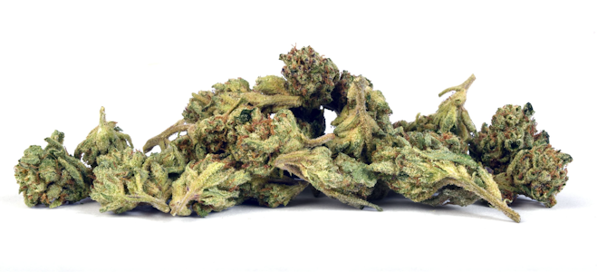 MADRONE - Madrone | MaliBlue | Smalls | 14g