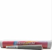Herbarium | Zlatto | 1g preroll