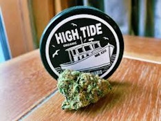 High Tide Organics | Casco Bae | 3.5g | [S]
