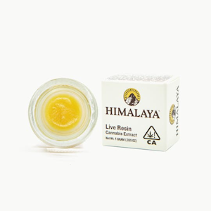 HIMALAYA - HIMALAYA | BUBBA DIAGONAL LIVE RESIN | EXTRACT | 1G