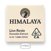 Himalaya - Live Resin - Terp Sugar - Cereal Milk - Concentrates - 1.0g