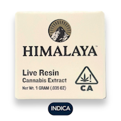 Himalaya - Live Resin Terp Sugar - P 85 - Concentrates - 1.0g