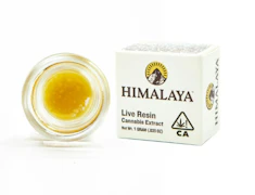 Himalaya | Orange Malt | Live Resin Terp Sauce | 1g