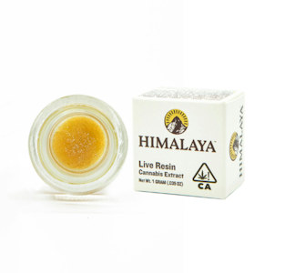 HIMALAYA - Himalaya | Chem Pop | Live Resin Terp Sugar | 1g