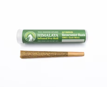 HIMALAYA - Himalaya | Governmint Oasis | Infused Pre-Roll | 1G
