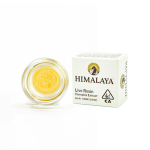 HIMALAYA - HIMALAYA | HONEY BANANA LIVE RESIN | EXTRACT | 1G