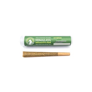 HIMALAYA - Himalaya | GovernMint Oasis | THCA Diamond Infused | Single