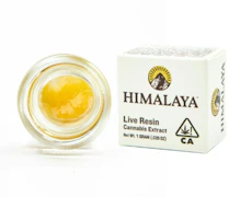 Himalaya | 4K | Live Resin Terp Sauce | 1g