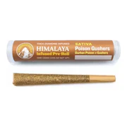 Himalaya | Poison Gushers | Infused Pre-Roll | 1g