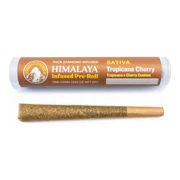 Himalaya | Tropicana Cherry | Infused Pre-Roll | 1g
