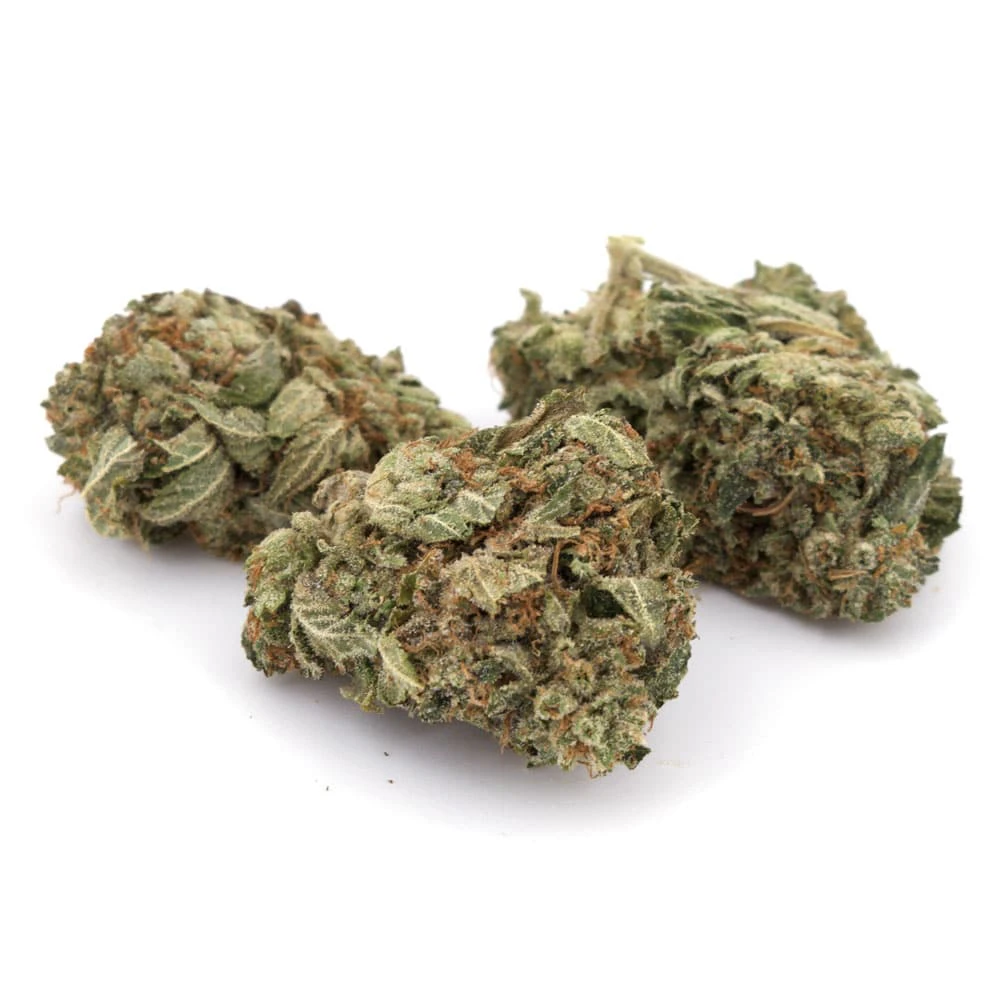 Galenas Cannabis - Hippocras Buds Main Image