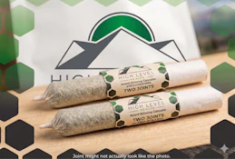 HLH - Infused Joint (2x.5g) - Diesels - 1.0g