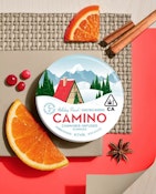 Camino - Holiday Punch - Christmas Morning - 100mg