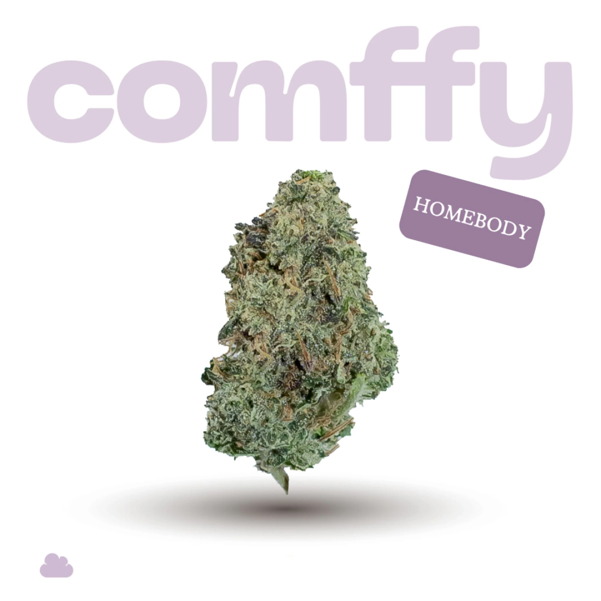 Comffy - Comffy Flower 7g Homebody 00265 Main Image
