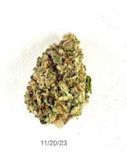 HDH - Hooch 