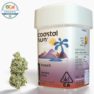 Coastal Sun - Coastal Sun - Indica - Hooch - (3.5g)