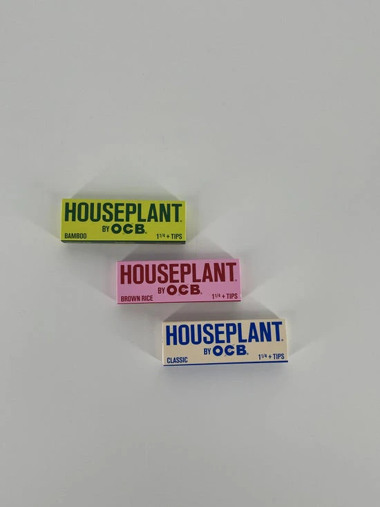 OCB - OCB | Houseplant 1.25" + tips | Bamboo Main Image