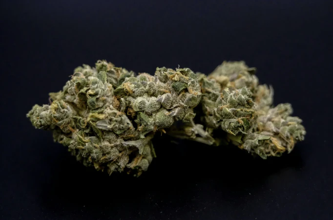 Curaleaf - Humboldt Sour Diesel (S) 00413 Main Image
